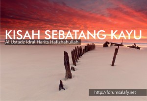 kisah sebatang kayu